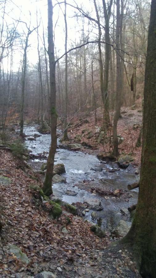 Vakantieverblijf Nature Stavelot Eksteriør billede