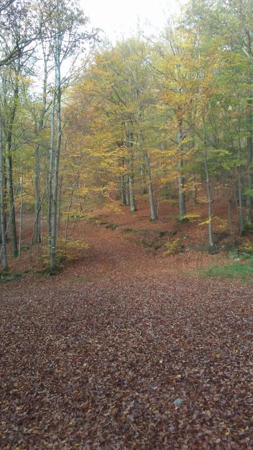 Vakantieverblijf Nature Stavelot Eksteriør billede
